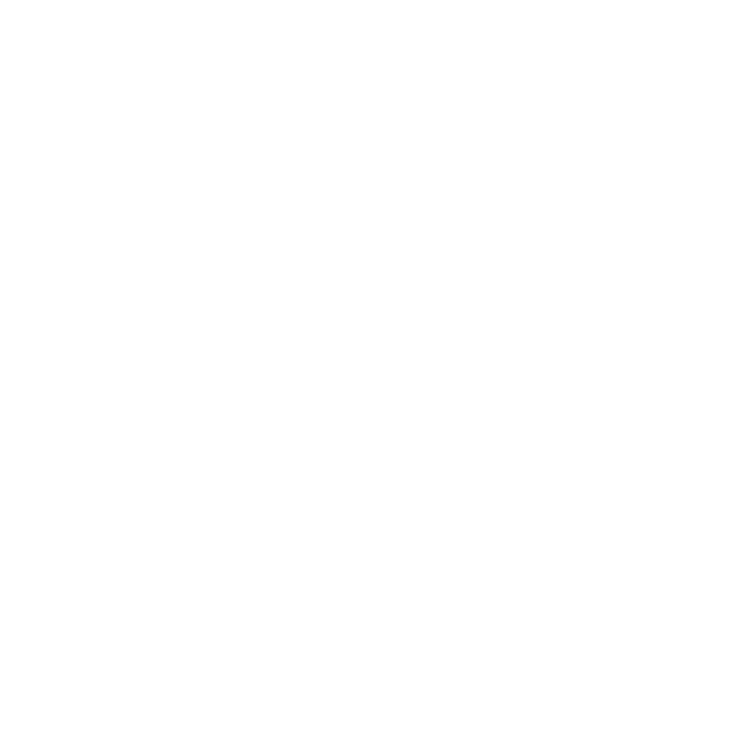 Videography Icon
